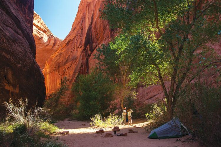 Camp Packing List for Comfort